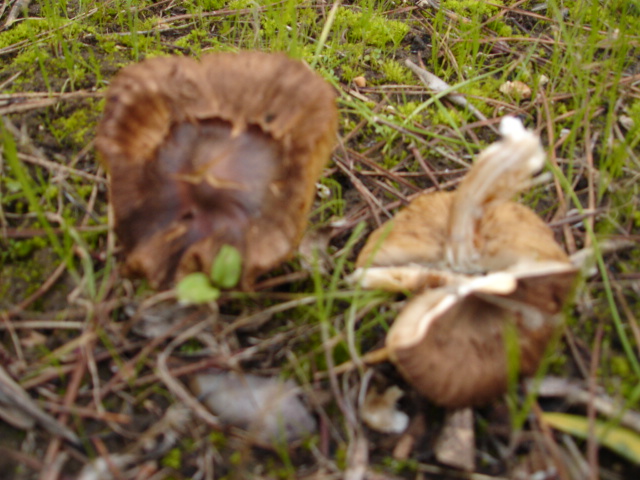 Murgia Novembre 2007-continuazione